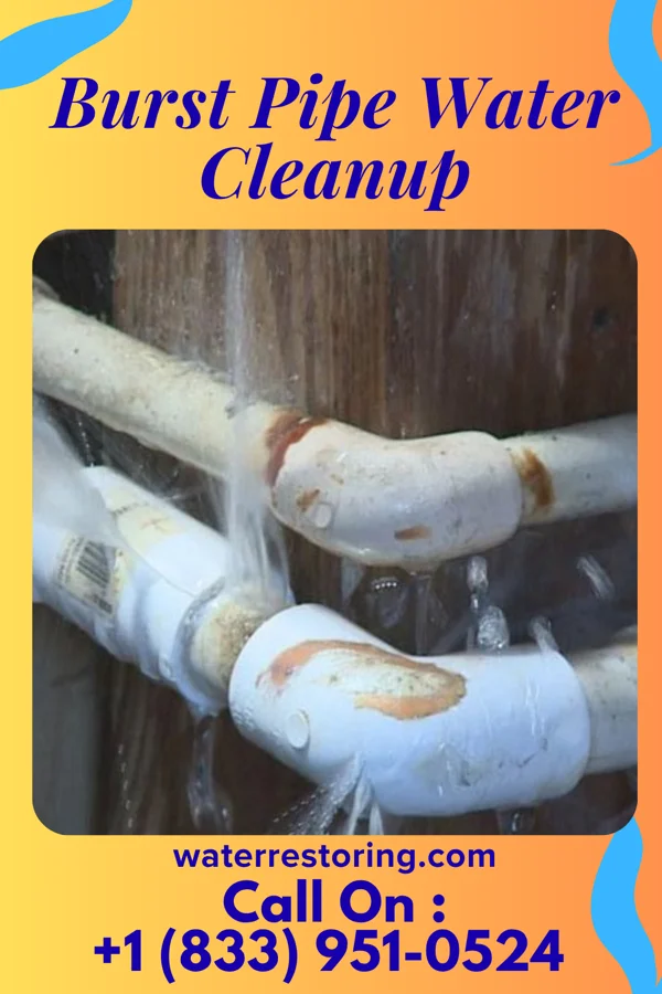 Burst Pipe Water Cleanup in Senecaville, OH