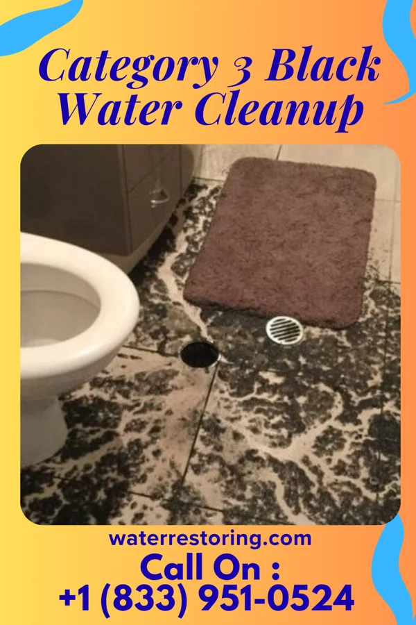 Category 3 Black Water Cleanup in Senecaville, OH