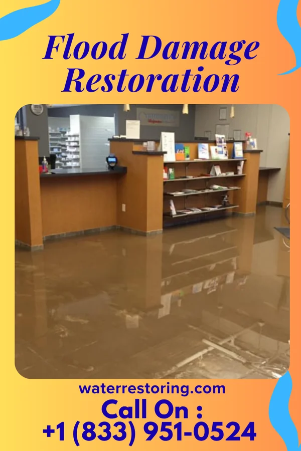 Flood Damage Restoration in Senecaville, OH