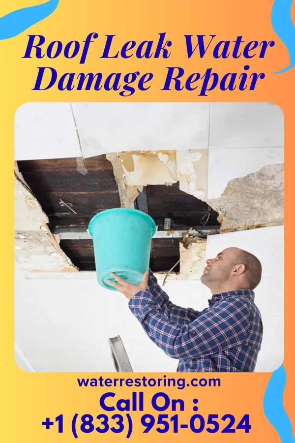Roof Leak Water Damage Repair in Senecaville, OH