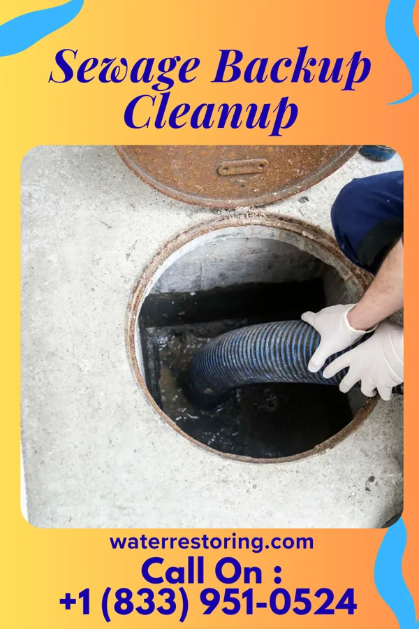 Sewage Backup Cleanup in Senecaville, OH