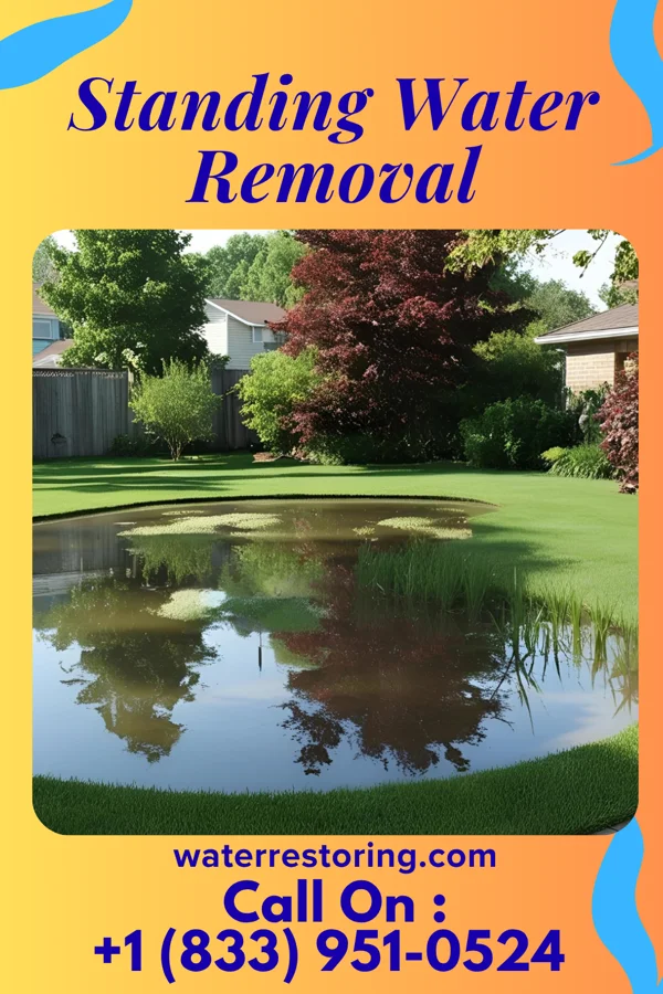 Standing Water Removal in Senecaville, OH